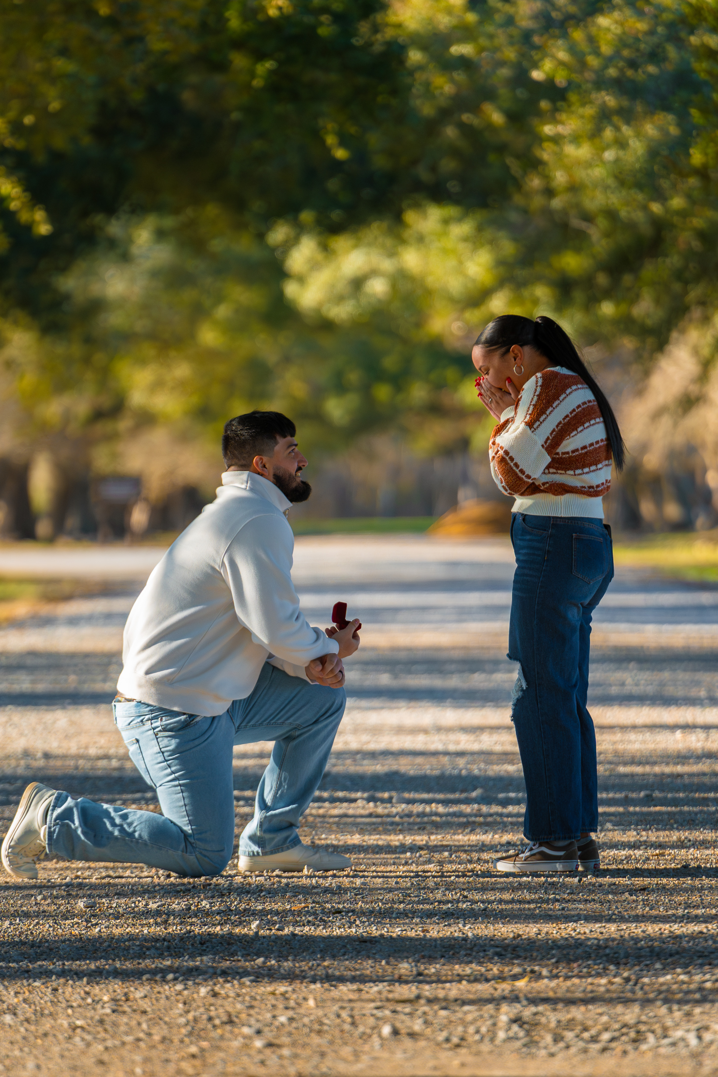 Man proposing to partner while kneeling down